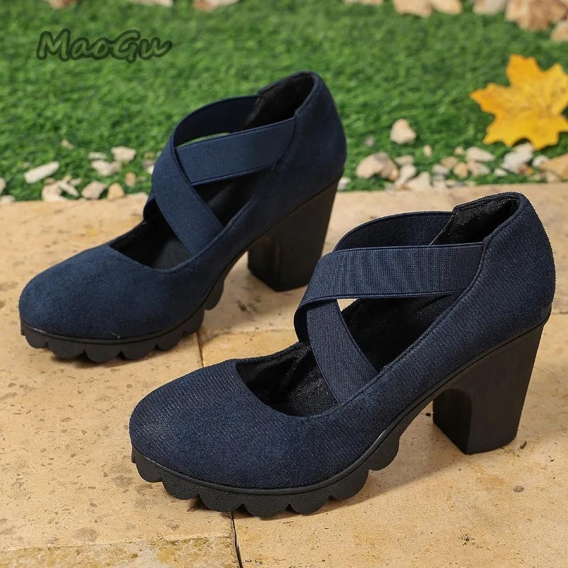 Women Mary Jane Pumps Suede Round Toe Elastic Strap Platform Chunky Block Heels Shoes Non-Slip Vintage Casual Zapatos De Mujer