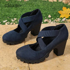 Women Mary Jane Pumps Suede Round Toe Elastic Strap Platform Chunky Block Heels Shoes Non-Slip Vintage Casual Zapatos De Mujer